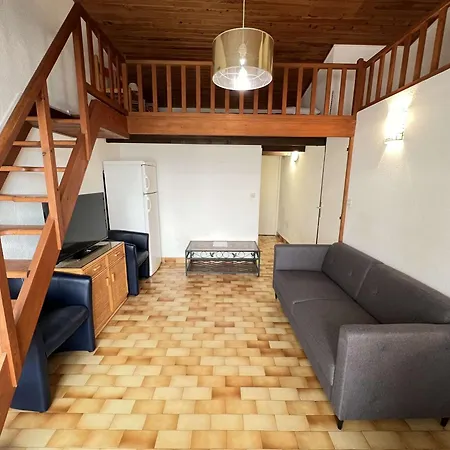 Avec Mezzanine, Ascenseur, Commerces A Proximite, Lave-linge, Animaux Admis - Fr-1-702-29 Apartment Agde