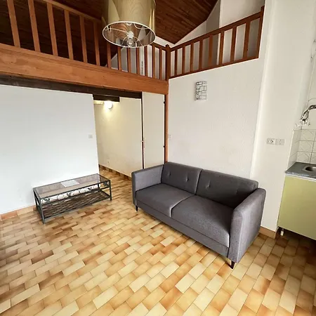 Avec Mezzanine, Ascenseur, Commerces A Proximite, Lave-linge, Animaux Admis - Fr-1-702-29 *