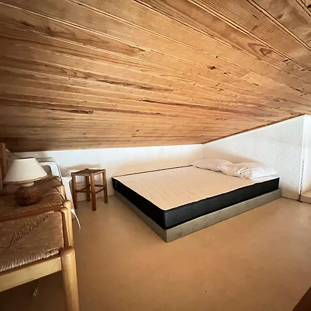 Apartment Avec Mezzanine, Ascenseur, Commerces A Proximite, Lave-linge, Animaux Admis - Fr-1-702-29