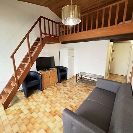 Apartment Avec Mezzanine, Ascenseur, Commerces A Proximite, Lave-linge, Animaux Admis - Fr-1-702-29 *
